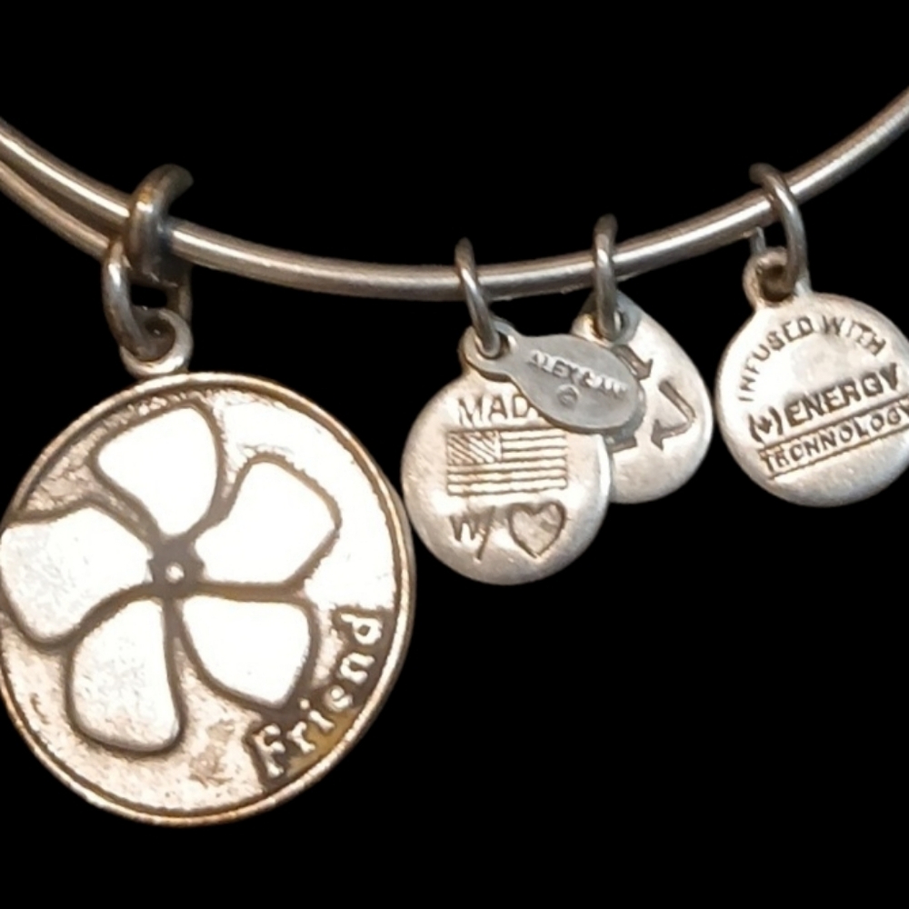 Alex and Ani - Silver Tone Wire Energy Infused Friend Charm Bracelet, Date 2013 - Picture 8 of 10